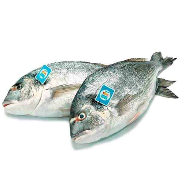 Dorada Salvaje