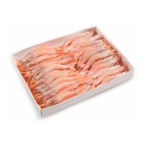 Gamba Blanca Mediana
